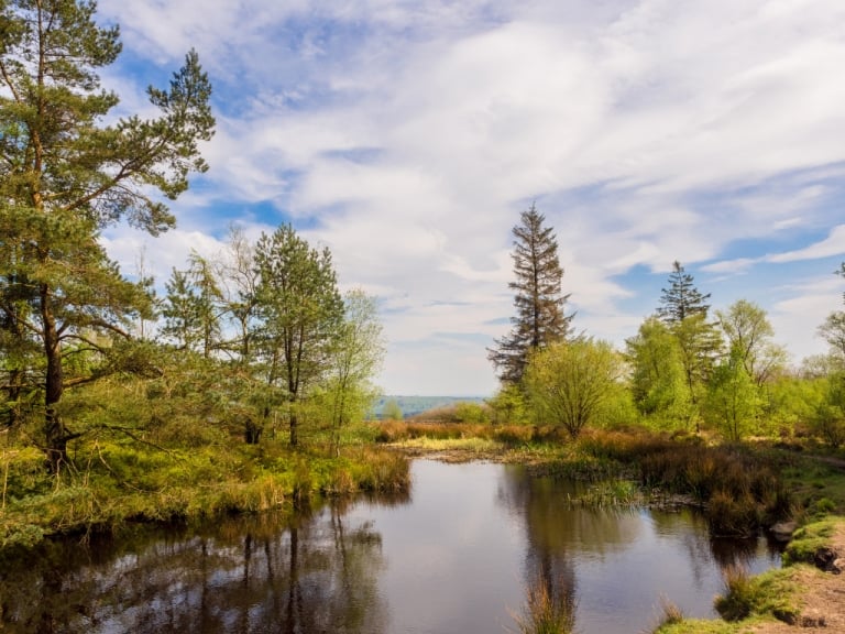 Beaconfell Country Park things to do lancashire