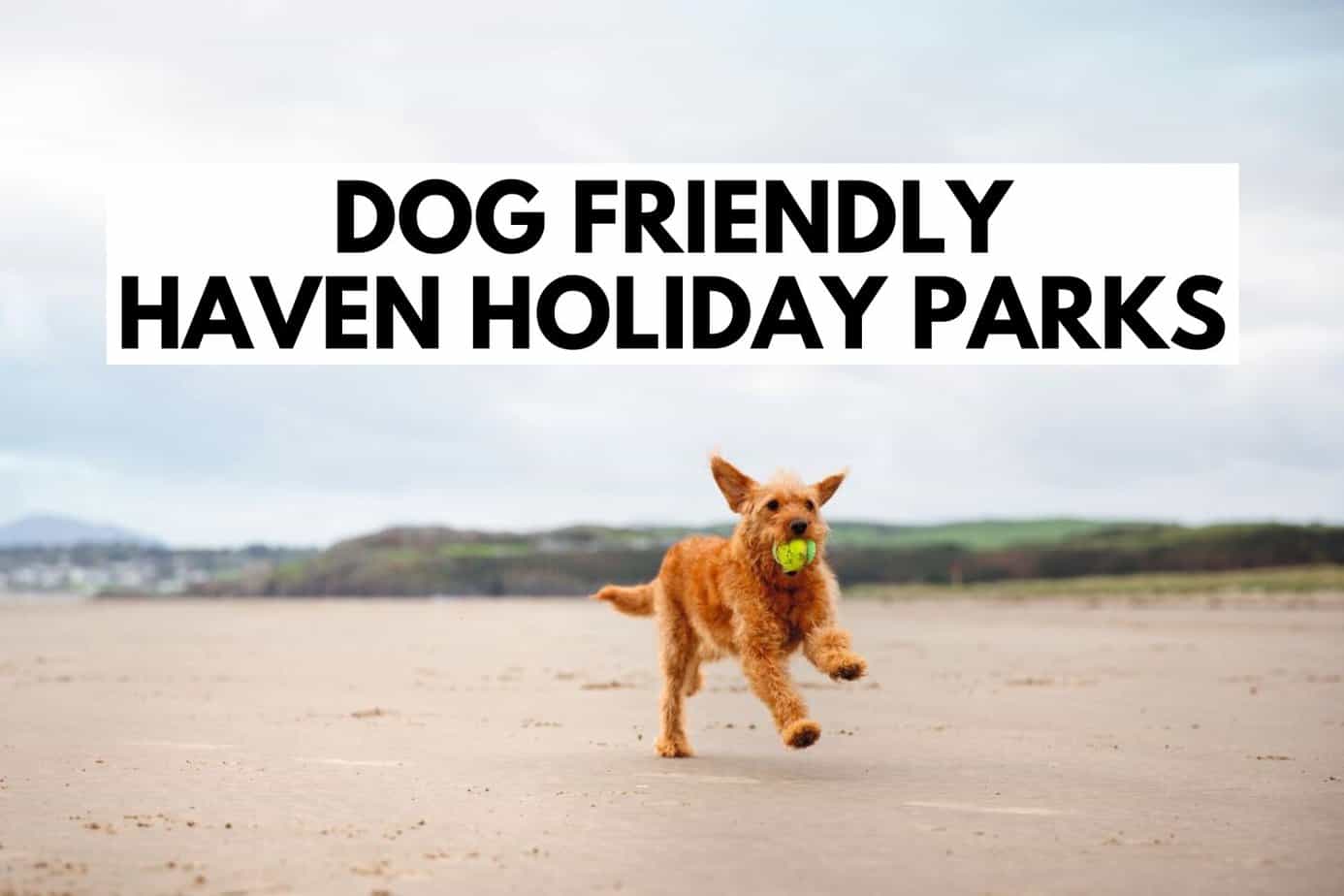 21 Dog Friendly Haven Holidays Caravan Sleeps