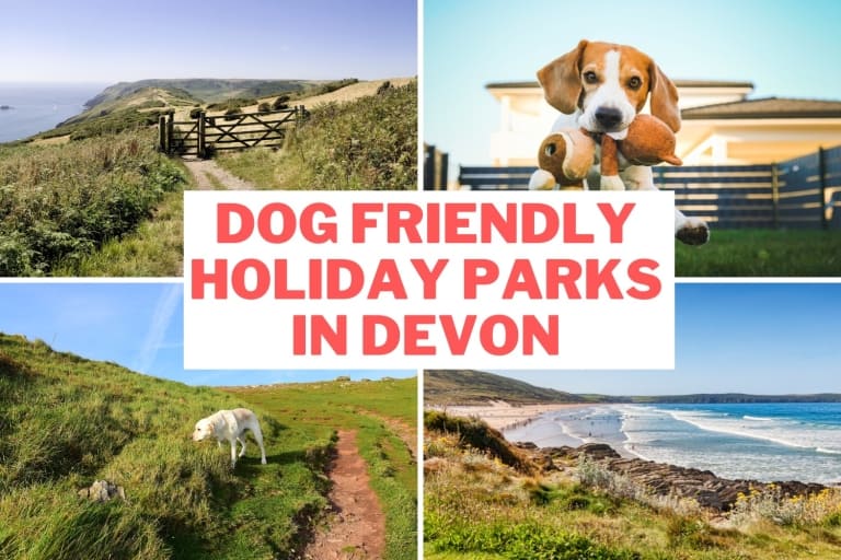 Dog Friendly Holiday Parks Devon